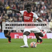 国际足联俱乐部世界杯(国际足联俱乐部世界杯百科)