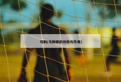 马刺(马刺根的功效与作用)