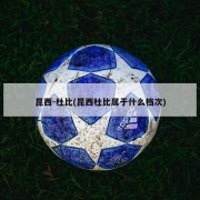 昆西-杜比(昆西杜比属于什么档次)