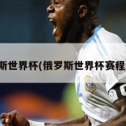 俄罗斯世界杯(俄罗斯世界杯赛程结果)