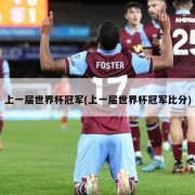 上一届世界杯冠军(上一届世界杯冠军比分)