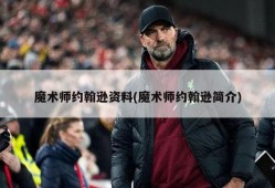 魔术师约翰逊资料(魔术师约翰逊简介)