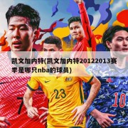 凯文加内特(凯文加内特20122013赛季是哪只nba的球员)