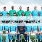 法国联赛杯(法国联赛杯已经停赛了吗)