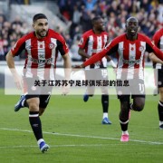 关于江苏苏宁足球俱乐部的信息