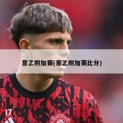意乙附加赛(意乙附加赛比分)