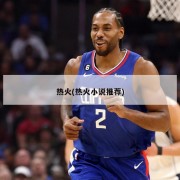 热火(热火小说推荐)