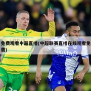 免费观看中超直播(中超联赛直播在线观看免费)