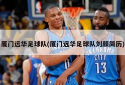 厦门远华足球队(厦门远华足球队刘颜简历)
