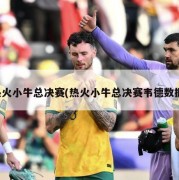 热火小牛总决赛(热火小牛总决赛韦德数据)