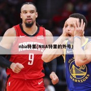 nba特里(NBA特里的外号)