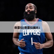 佩雷拉(佩雷拉图片)