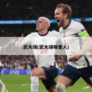 武大靖(武大靖哪里人)