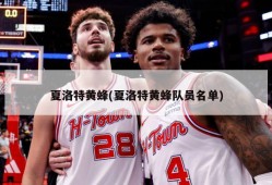 夏洛特黄蜂(夏洛特黄蜂队员名单)