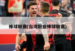 棒球联赛(台湾职业棒球联赛)