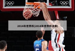 2014年世界杯(2014年世界杯决赛)