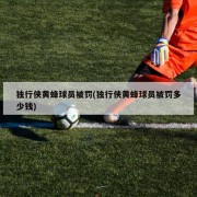 独行侠黄蜂球员被罚(独行侠黄蜂球员被罚多少钱)