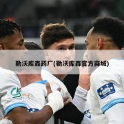 勒沃库森药厂(勒沃库森官方商城)