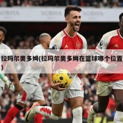 拉玛尔奥多姆(拉玛尔奥多姆在篮球哪个位置)