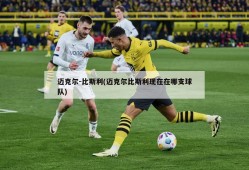 迈克尔-比斯利(迈克尔比斯利现在在哪支球队)