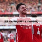 索牌羽毛球拍(索牌羽毛球拍哪款好)
