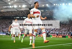 厄尔博伊金斯(厄尔博伊金斯十佳球)
