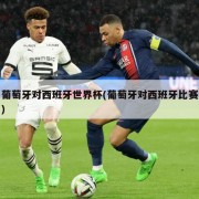 葡萄牙对西班牙世界杯(葡萄牙对西班牙比赛)