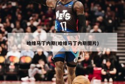 哈维马丁内斯(哈维马丁内斯图片)