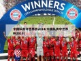 中国队勇夺世界杯2014(中国队勇夺世界杯2010)