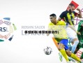 棒球挥棒(棒球挥棒动作)