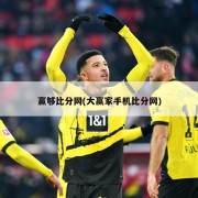 赢够比分网(大赢家手机比分网)