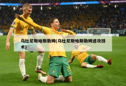 乌杜尼斯哈斯勒姆(乌杜尼斯哈斯勒姆进攻技术)