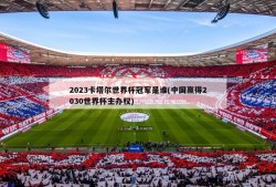 2023卡塔尔世界杯冠军是谁(中国赢得2030世界杯主办权)
