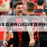 2023年亚洲杯(2023年亚洲杯结果)