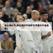 莱比锡红牛(莱比锡红牛和萨尔茨堡红牛啥关系)