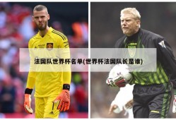 法国队世界杯名单(世界杯法国队长是谁)