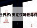 贝克汉姆世界杯(贝克汉姆世界杯最好成绩)