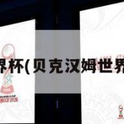 贝克汉姆世界杯(贝克汉姆世界杯最好成绩)