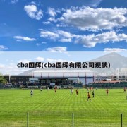 cba国辉(cba国辉有限公司现状)