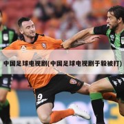 中国足球电视剧(中国足球电视剧于毅被打)