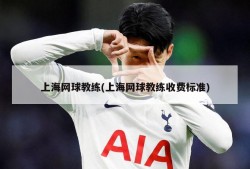 上海网球教练(上海网球教练收费标准)