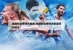 美国职业棒球大联盟(美国职业棒球大联盟球队排名)