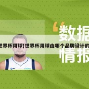 世界杯用球(世界杯用球由哪个品牌设计的)