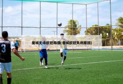 曼城无缘欧冠四强(曼城欧冠失利原因)