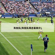 灰熊队(灰熊队周志豪简介)