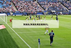 灰熊队(灰熊队周志豪简介)