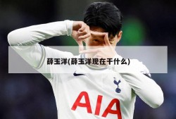 薛玉洋(薛玉洋现在干什么)