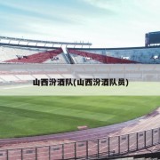 山西汾酒队(山西汾酒队员)