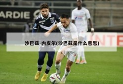 沙巴兹-内皮尔(沙巴兹是什么意思)