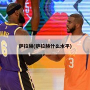 萨拉赫(萨拉赫什么水平)